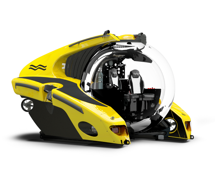 C-Researcher 2 anatomy view yellow
