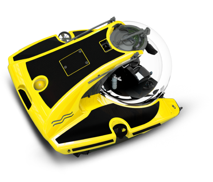 C-Researcher 3 anatomy top view yellow