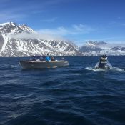 C-Explorer 3 diving expedition in Greenland